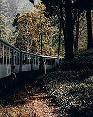 Train Rides through the hills