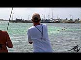 fly fishing and snorkeling in Mahahual Mexico - YouTube
