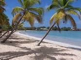 Vidéo des Antilles découverte des paysages paradisiaques de Martinique ( l'Ile aux fleurs )