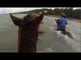 Horseback Ride and Swim Montego Bay, Jamaica