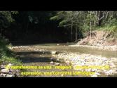 Rastafaris Indigenous - Ocho Rios - Jamaica