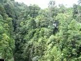 The Aerial Tram in Dominica, close to Roseau(Dominica)