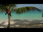 St. John's Best Beaches, US Virgin Islands, DVD Preview