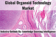 Organoid Technology Market Size, Share & Industry Report, 2019-2024