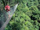 Kakum Canopy Walk