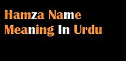 Hamza Name Meaning In Urdu