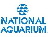National Aquarium in Baltimore, MD Virtual Tour