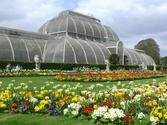 Explore Kew Gardens