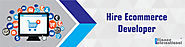 Hire Ecommerce Developer - Alliance Recruitment Agency