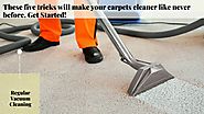 How to find the best carpet cleaning option for your needs