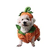 Halloween Deals: Dog Halloween Costume Cosplay Pumpkin Jumpsuit Coat