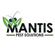 Mantis Pest SolutionsPest Control Service in Lees Summit, Missouri
