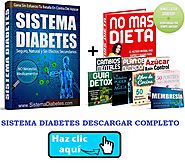 Sistema Diabetes Pdf Descargar Gratis