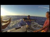 Dorado Fishing In Cabo San Lucas, Mexico