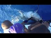 Marlin Azul Colon - Panama