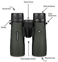 Vоrtех Diamondback 10x50 Binocular - Complete Review | Target Frog