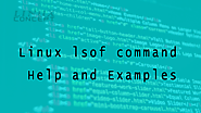Linux lsof command Help and Examples - Linux Concept