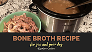 Know how to make bone broth for your dog