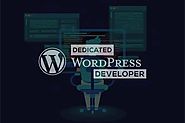 Hire Dedicated WordPress Developer | Wordpress Expert