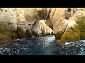 Kayaking Isla Espiritu Santo - Mexico 2014 (BOA) GoPro Hero3 Black Footage