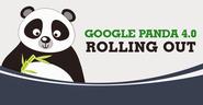 Overview of Google Panda 4.0 Update and its Prime Motive Behind Launching