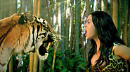 9 - Roar - Katy Perry