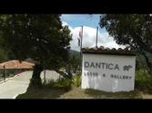 Reallatino Tours- Dantica Lodge, San Gerardo de Dota, Costa Rica