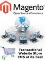 Hire Magento developer India and develop a strong Online Store of your business