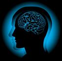 Natural L-Theanine for Anxiety, Panic Attacks and Depression