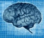 Bulk L-Theanine Powder - How to Use, Doses and Cost