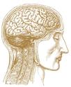 DMAE 100 mg and 250 mg Pills and Products For Sale