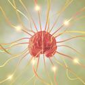 Phosphatidylserine Dosage Guide - A Supplement for Stress Relief and Memory