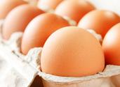 How Much Choline is found in Eggs and what are the Health Benefits?