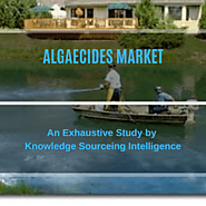 Algaecides Market Research report- Forecasts From 2019 To 2024