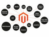 Magento Store - A Vital Business Requirement