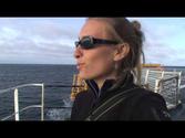 Bering Sea Ice Expedition: Adventures at Sea