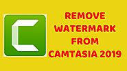 How To Remove WaterMark From Camtasia 2019 Video Editor