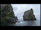 A trip to Bering Sea - Episode 3 - Hall and St. Matthew Islands