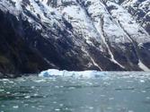 Tracy Arm Alaska. Viewing the icebergs from the Sawyer Glacier.