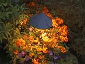 Butchart Gardens Victoria BC Canada