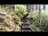 Mount Dewey Trail. Wrangell, Alaska