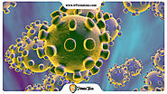 Recommended ways to face the Coronavirus - ir Persiatour