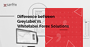 Difference between Greylabel Vs Whitelabel Forex Solutions | Sanfrix