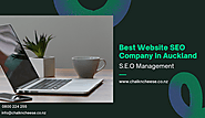 Best digital marketing websites agency in Auckland