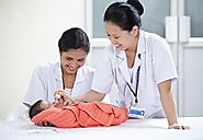 GNM Nursing Salary In India | Salary Of A GNM Nurse