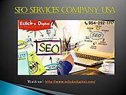 SEO Services company USA