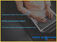 Assignment Help from Experts