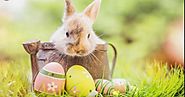 Easter 2021 | When is Easter 2021 | Event