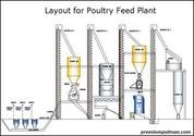Get Familiar with the Operation of a Poultry Feed Plant | Blog for Feeding Plant India