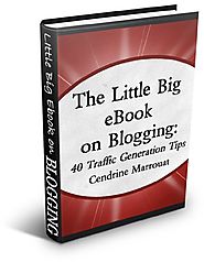 The Little Big eBook on Blogging: 40 Traffic Generation Tips
